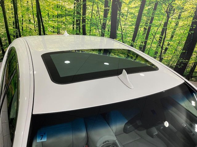 �y�T�����[�t�z�J���������Ղ�̊󏭑����A�T�����[�t����������Ă��܂�!�ԓ��ɖ�����������ꂽ��i�F���y���ވȊO�ɂ��A�ԓ��̋�C���ȒP�Ɋ��C�ł��ĉ��K�ł�!