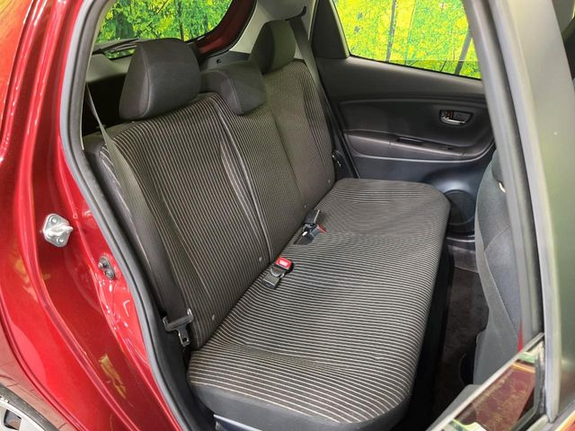 �㕔���Ȃ��C�ɂȂ�悤�ȃL�Y�E�����ւ��蓙�A�傫�ȃ_���[�W�͂Ȃ��A�ǍD�ȏ�Ԃł��B