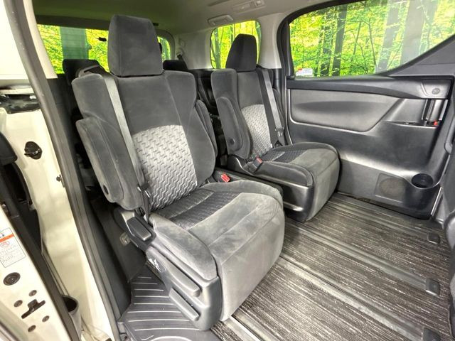 �㕔���Ȃ��C�ɂȂ�悤�ȃL�Y�E�����ւ��蓙�A�傫�ȃ_���[�W�͂Ȃ��A�ǍD�ȏ�Ԃł��B