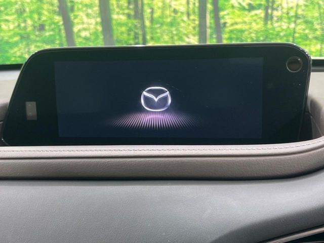 �yBOSE�T�E���h�V�X�e���t�������i�r�z�[���̃i�r�@�\�͂������A���x�ȃ`���[�j���O�\�͂����ڂ���Ă���A�������ȉ��y�����y���݂��������܂���