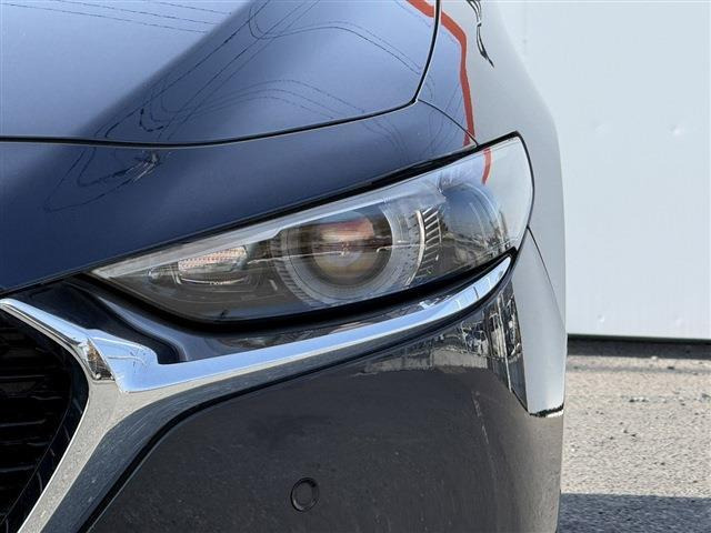 ���Ǝҗl�ւ̔̔��͂��f�肳���Ă��������܂��B �Ԍ������ԗ��̏ꍇ�́A�Ԍ����擾�������x�������z�ŕ\�����Ă���܂��B