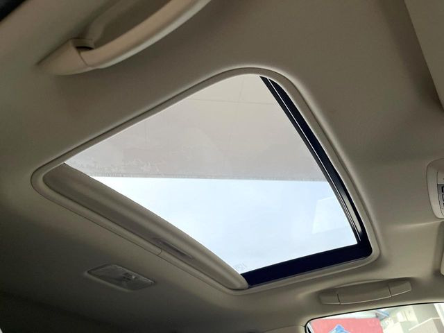 �y�T�����[�t�z�J���������Ղ�̊󏭑����A�T�����[�t����������Ă��܂�!�ԓ��ɖ�����������ꂽ��i�F���y���ވȊO�ɂ��A�ԓ��̋�C���ȒP�Ɋ��C�ł��ĉ��K�ł�!