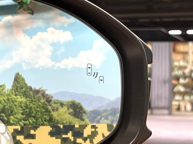 �y�u���C���h�X�|�b�g���j�^�[�z���s���A�h�A�~���[�̎��p�ɂȂ�₷���ӏ��Ɍ㑱�Ԃ��ڋ߂���ƃT�C�h�~���[�̃����Y�Ɍx����\��!�h���C�o�[�ɒ��ӊ��N�����Ă���܂��B