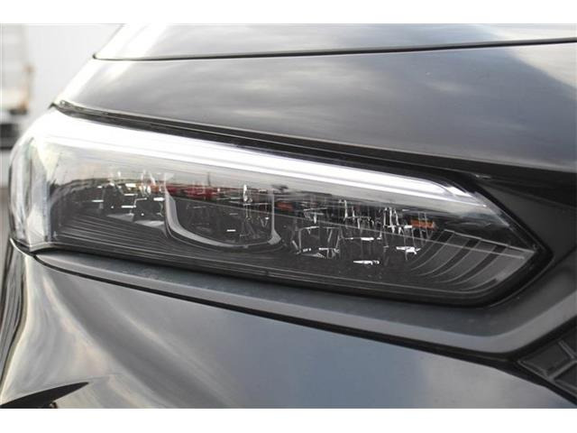 ���Ǝҗl�ւ̔̔��͂��f�肳���Ă��������܂��B �Ԍ������ԗ��̏ꍇ�́A�Ԍ����擾�������x�������z�ŕ\�����Ă���܂��B