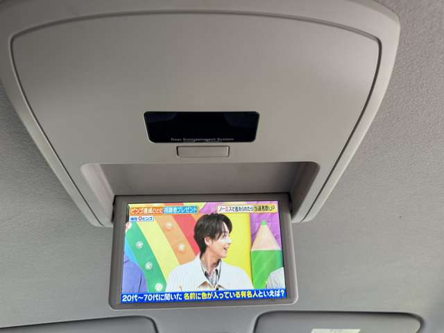 ����ȃ��j�^��