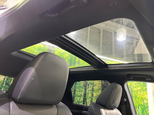 �y�T�����[�t�z�J���������Ղ�̊󏭑����A�T�����[�t����������Ă��܂�!�ԓ��ɖ�����������ꂽ��i�F���y���ވȊO�ɂ��A�ԓ��̋�C���ȒP�Ɋ��C�ł��ĉ��K�ł�!