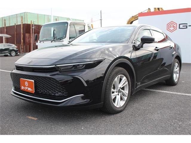 ���Ǝҗl�ւ̔̔��͂��f�肳���Ă��������܂��B �Ԍ������ԗ��̏ꍇ�́A�Ԍ����擾�������x�������z�ŕ\�����Ă���܂��B