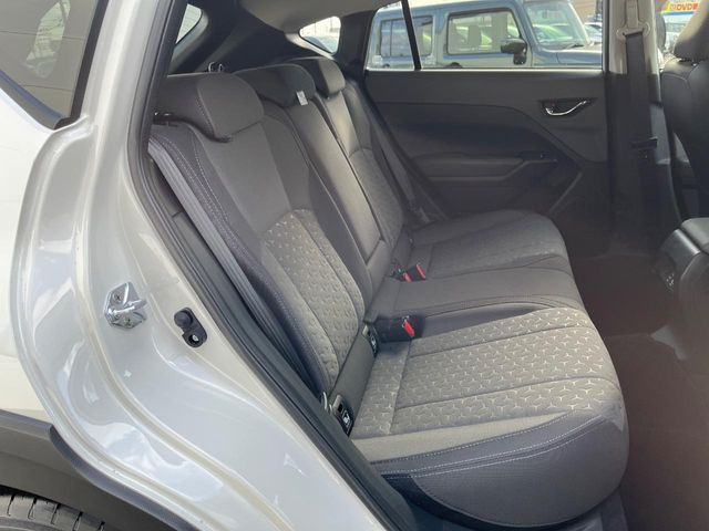 �㕔���Ȃ��C�ɂȂ�悤�ȃL�Y�E�����ւ��蓙�A�傫�ȃ_���[�W�͂Ȃ��A�ǍD�ȏ�Ԃł��B