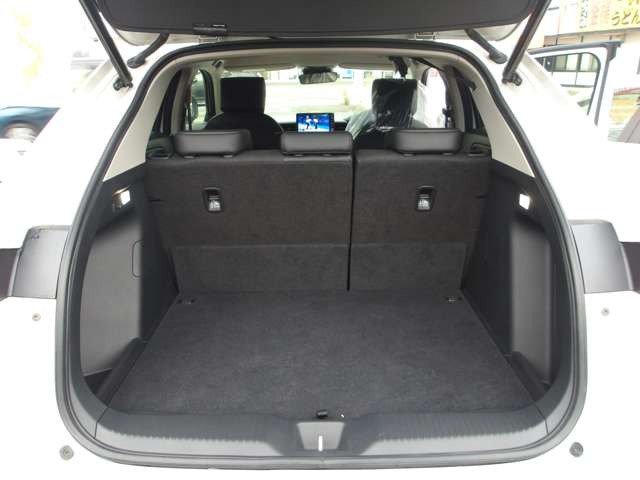 �u�W���ԗ��̐F�Ⴂ�v��u�W����ɖ����ԁv�����T�����܂���