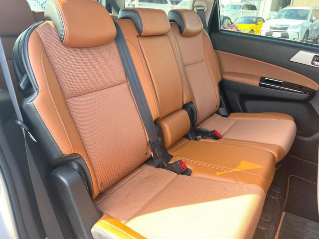 �㕔���Ȃ��C�ɂȂ�悤�ȃL�Y�E�����ւ��蓙�A�傫�ȃ_���[�W�͂Ȃ��A�ǍD�ȏ�Ԃł��B