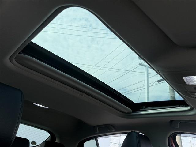 ���ЃI�[�g���[���͓����E�{�[�i�X�����s�v�B�Œ�84��܂ŉ\�ƂȂ��Ă���܂��B�R�������ł��\���܂���̂ł��C�y�ɂ����k�������B