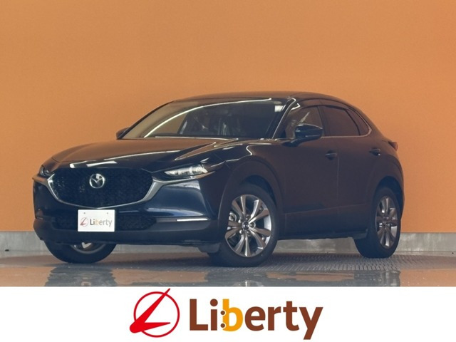 CX-302.0 20S プロアクティブ ツーリングセレクション