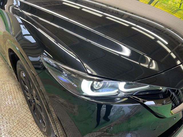 �yLED�w�b�h���C�g�z���V����ԑ��s�����ǍD�Ȏ��E���m�ۂ����S���ĉ^�]�ł��鍂�P�xLED�w�b�h���C�g�𑕔�!�_�����x�������A����d�͂��}�����Ă��܂��B