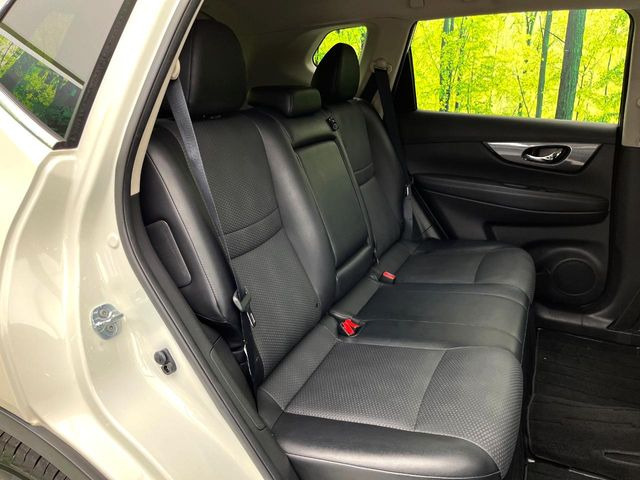 �㕔���Ȃ��C�ɂȂ�悤�ȃL�Y�E�����ւ��蓙�A�傫�ȃ_���[�W�͂Ȃ��A�ǍD�ȏ�Ԃł��B