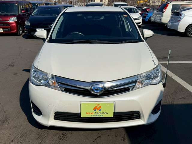 ���X�݌ɂ͊O���A�����N���[�j���O��ɓW�����A�����Ď��̏C�����̗L���A���[�^�[��������̗L������O�ҋ@�ւɂ�錟����S����{���Ă���܂��B�Ԍ��A�����A����h�������ЂőΉ��ł��܂��̂ł����S���������B