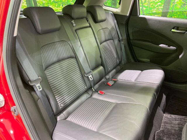 �㕔���Ȃ��C�ɂȂ�悤�ȃL�Y�E�����ւ��蓙�A�傫�ȃ_���[�W�͂Ȃ��A�ǍD�ȏ�Ԃł��B