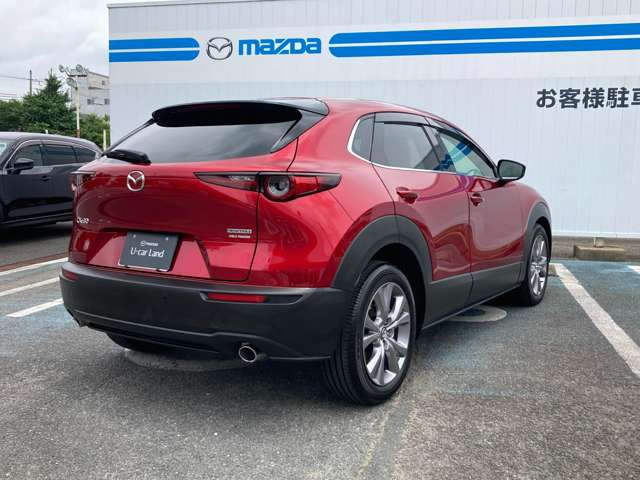 CX-301.8 XD Lパッケージ