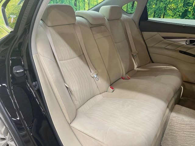 �㕔���Ȃ��C�ɂȂ�悤�ȃL�Y�E�����ւ��蓙�A�傫�ȃ_���[�W�͂Ȃ��A�ǍD�ȏ�Ԃł��B