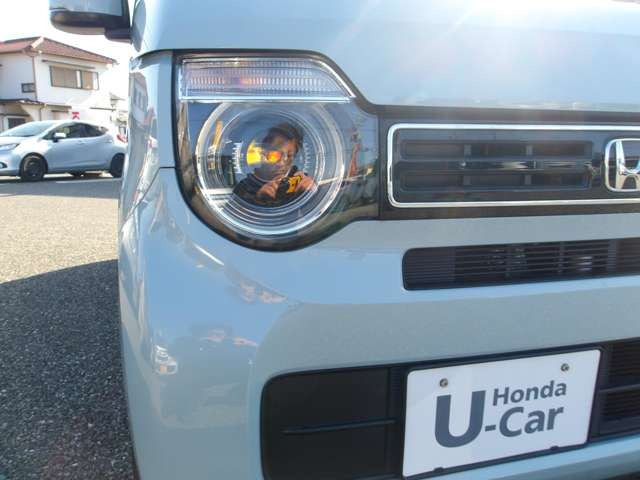 �Ԃ̍w�������ł͂Ȃ��A�u�Ԍ��␮���̂݁v�ł̂����X���劽�}�ł���