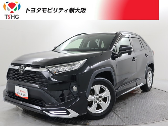 RAV42.0 X