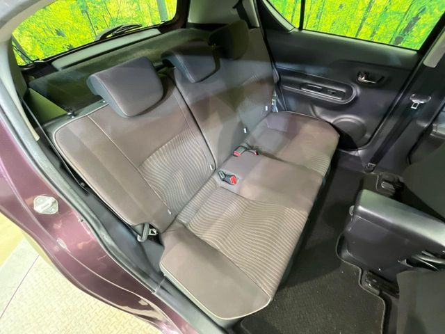 �㕔���Ȃ��C�ɂȂ�悤�ȃL�Y�E�����ւ��蓙�A�傫�ȃ_���[�W�͂Ȃ��A�ǍD�ȏ�Ԃł��B