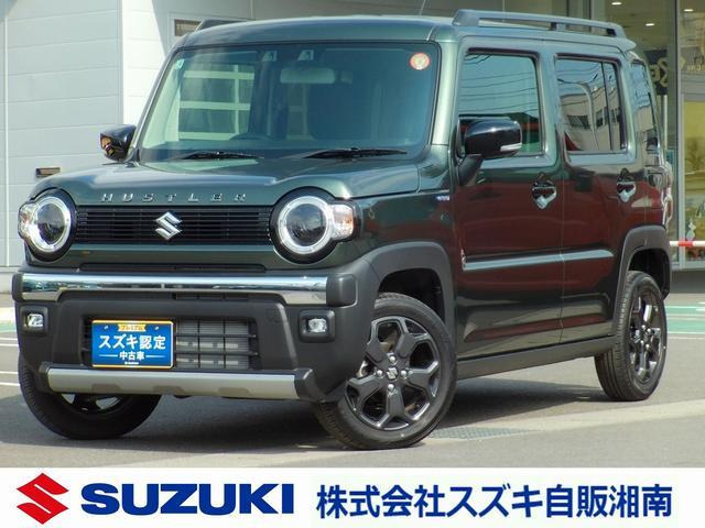 ハスラータフワイルド