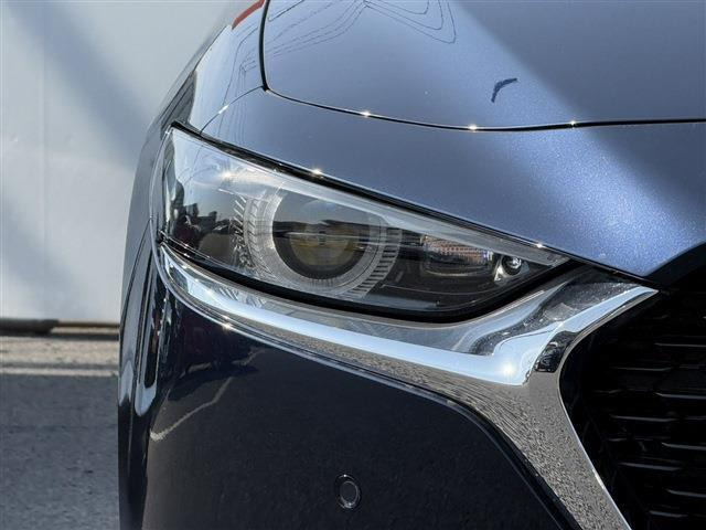 ���Ǝҗl�ւ̔̔��͂��f�肳���Ă��������܂��B �Ԍ������ԗ��̏ꍇ�́A�Ԍ����擾�������x�������z�ŕ\�����Ă���܂��B