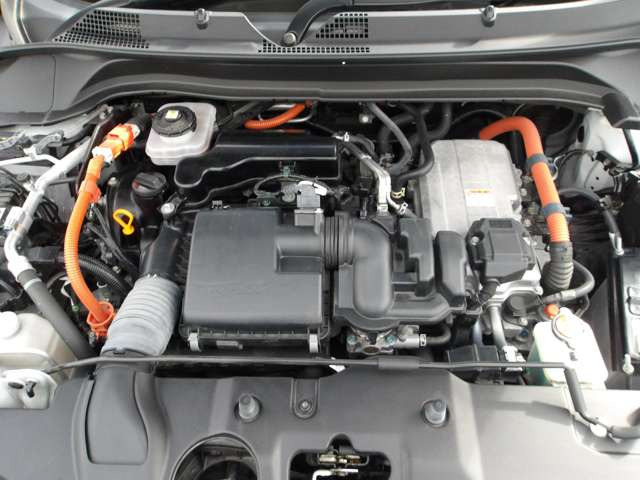 �y�������畁�ʎԁASUV�ȂǁA�o���G�e�B�[�L���Ɏ�葵���Ă���܂�!