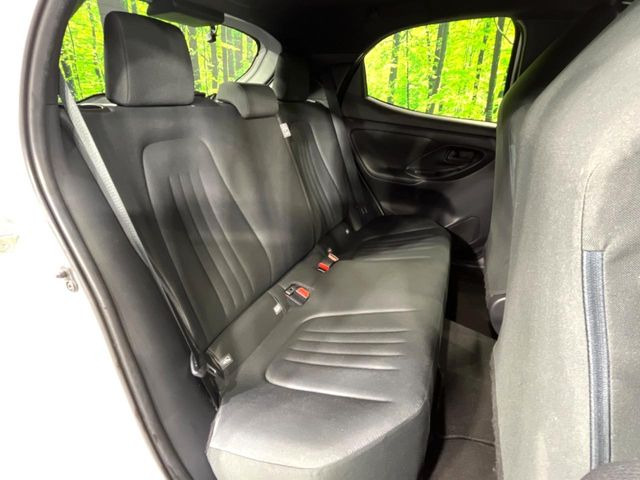 �㕔���Ȃ��C�ɂȂ�悤�ȃL�Y�E�����ւ��蓙�A�傫�ȃ_���[�W�͂Ȃ��A�ǍD�ȏ�Ԃł��B