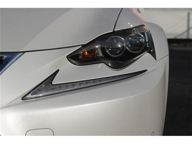 �����X�o���Ȃ����q�l�A���Ǝҗl�ւ̔̔��͂��f�肳���Ă��������܂��B�Ԍ������ԗ��̏ꍇ�́A�Ԍ����擾�������x�������z�ŕ\�����Ă���܂��B