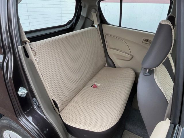 �㕔���Ȃ��C�ɂȂ�悤�ȃL�Y�E�����ւ��蓙�A�傫�ȃ_���[�W�͂Ȃ��A�ǍD�ȏ�Ԃł��B