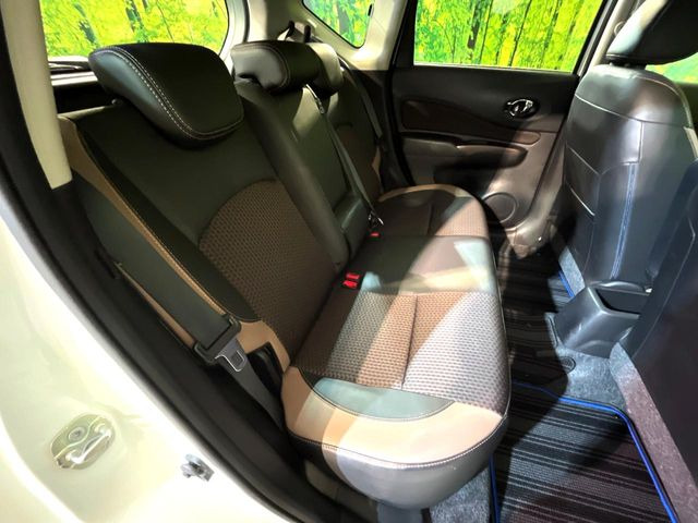 �㕔���Ȃ��C�ɂȂ�悤�ȃL�Y�E�����ւ��蓙�A�傫�ȃ_���[�W�͂Ȃ��A�ǍD�ȏ�Ԃł��B