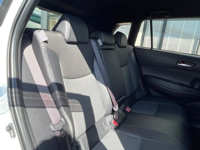 �㕔���Ȃ��C�ɂȂ�悤�ȃL�Y�E�����ւ��蓙�A�傫�ȃ_���[�W�͂Ȃ��A�ǍD�ȏ�Ԃł��B