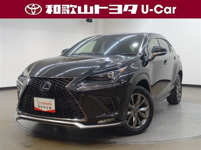 NX300h Fスポーツ