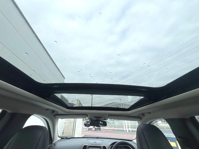 ���p�m���}�~�b�N�K���X���[�t:�唗�͂̃p�m���}���[�t�́A�㕔���Ȃɂ܂ő����Ă���A�J���I�ȋ�Ԃ����y���݂��������܂��B