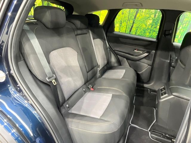 �㕔���Ȃ��C�ɂȂ�悤�ȃL�Y�E�����ւ��蓙�A�傫�ȃ_���[�W�͂Ȃ��A�ǍD�ȏ�Ԃł��B