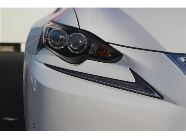 �����X�o���Ȃ����q�l�A���Ǝҗl�ւ̔̔��͂��f�肳���Ă��������܂��B�Ԍ������ԗ��̏ꍇ�́A�Ԍ����擾�������x�������z�ŕ\�����Ă���܂��B