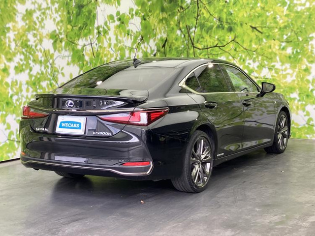 ES300h Fスポーツ