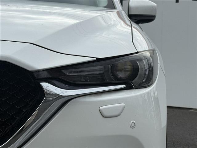 ���Ǝҗl�ւ̔̔��͂��f�肳���Ă��������܂��B �Ԍ������ԗ��̏ꍇ�́A�Ԍ����擾�������x�������z�ŕ\�����Ă���܂��B