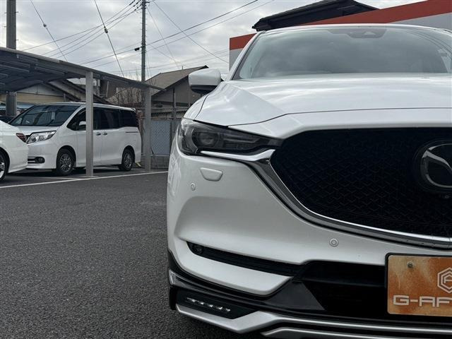 ���Ǝҗl�ւ̔̔��͂��f�肳���Ă��������܂��B �Ԍ������ԗ��̏ꍇ�́A�Ԍ����擾�������x�������z�ŕ\�����Ă���܂��B