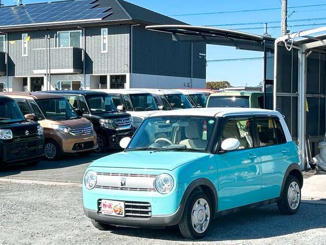 �y39.8���X�J�[�Y�̎��q���������������A���ɂ��肪�Ƃ��������܂��B���������S�s���c1186-7TEL:0942-73-6060�܂ł��⍇����������