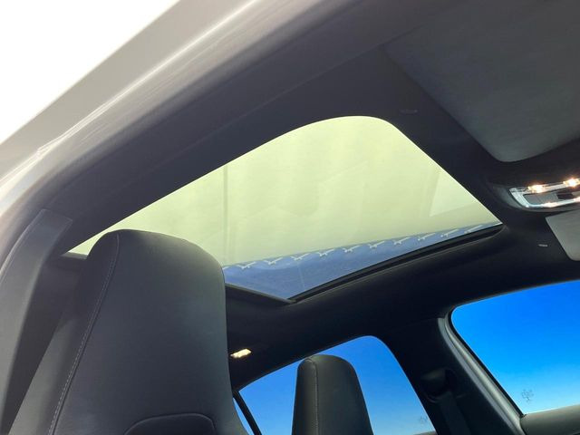 ���p�m���~�b�N�X���C�f�B���O���[�t::�唗�͂̃p�m���}���[�t�́A�㕔���Ȃɂ܂ő����Ă���A�J���I�ȋ�Ԃ����y���݂��������܂��B