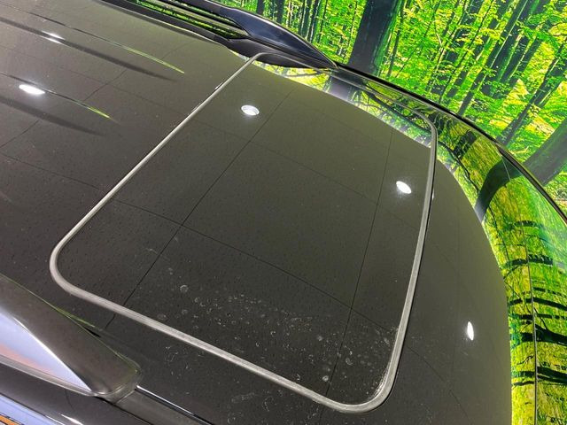 �y�T�����[�t�z�J���������Ղ�̊󏭑����A�T�����[�t����������Ă��܂�!�ԓ��ɖ�����������ꂽ��i�F���y���ވȊO�ɂ��A�ԓ��̋�C���ȒP�Ɋ��C�ł��ĉ��K�ł�!