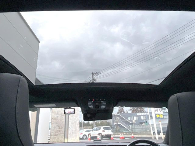 ���p�m���~�b�N�X���C�f�B���O���[�t::�唗�͂̃p�m���}���[�t�́A�㕔���Ȃɂ܂ő����Ă���A�J���I�ȋ�Ԃ����y���݂��������܂��B