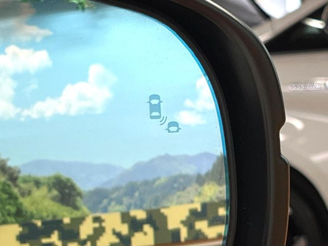 �y�u���C���h�X�|�b�g�C���t�H���[�V�����z���s���A�h�A�~���[�̎��p�ɂȂ�₷���ӏ��Ɍ㑱�Ԃ��ڋ߂���ƃT�C�h�~���[�t�߂Ɍx����\���A�h���C�o�[�ɒ��ӊ��N�����Ă���܂��B