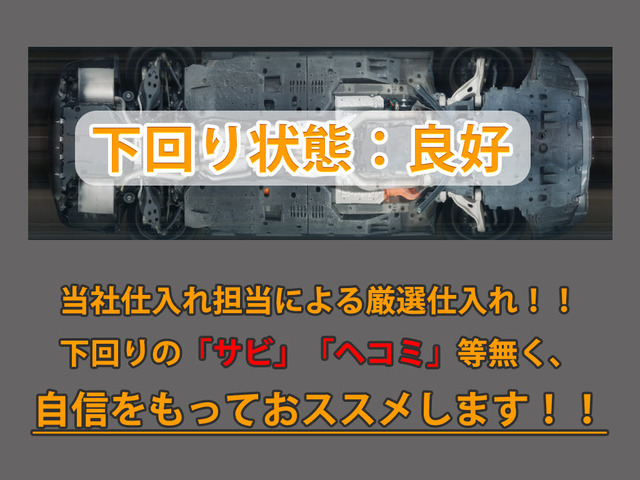 �����̓T�r��ɂ݂��Ȃ��ƂĂ��L���C��1��ł�!�����摜�����ł������t�\�ł�!����LINE���炨�C�y�ɂ��₢���킹��������!!