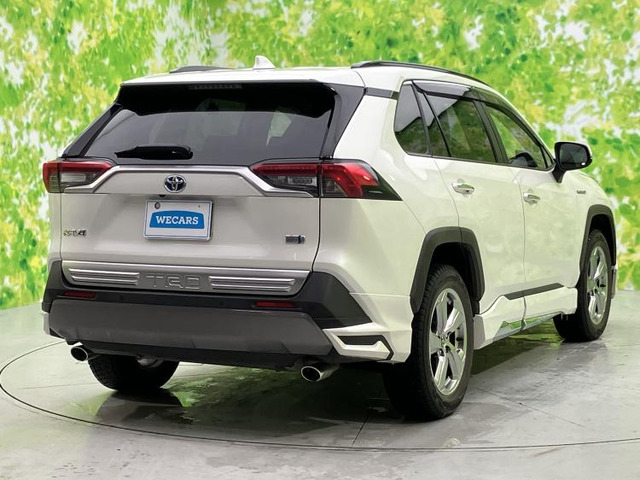 RAV42.5 ハイブリッド G E-Four 4WD