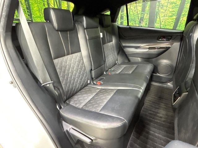 �㕔���Ȃ��C�ɂȂ�悤�ȃL�Y�E�����ւ��蓙�A�傫�ȃ_���[�W�͂Ȃ��A�ǍD�ȏ�Ԃł��B