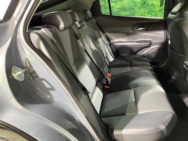 �㕔���Ȃ��C�ɂȂ�悤�ȃL�Y�E�����ւ��蓙�A�傫�ȃ_���[�W�͂Ȃ��A�ǍD�ȏ�Ԃł��B