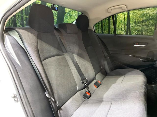 �㕔���Ȃ��C�ɂȂ�悤�ȃL�Y�E�����ւ��蓙�A�傫�ȃ_���[�W�͂Ȃ��A�ǍD�ȏ�Ԃł��B